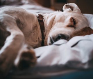 pexels-photo-791862